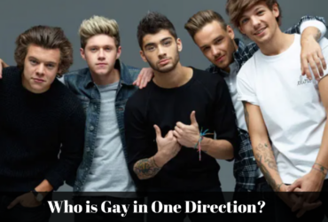 who is gay in one direction