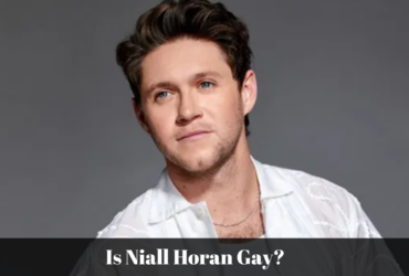 Is Niall Horan Gay?