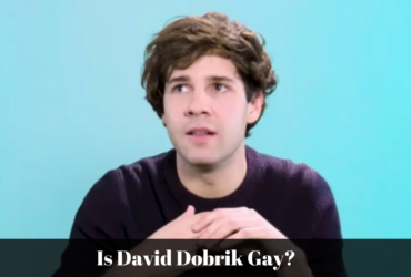 is david dobrik gay