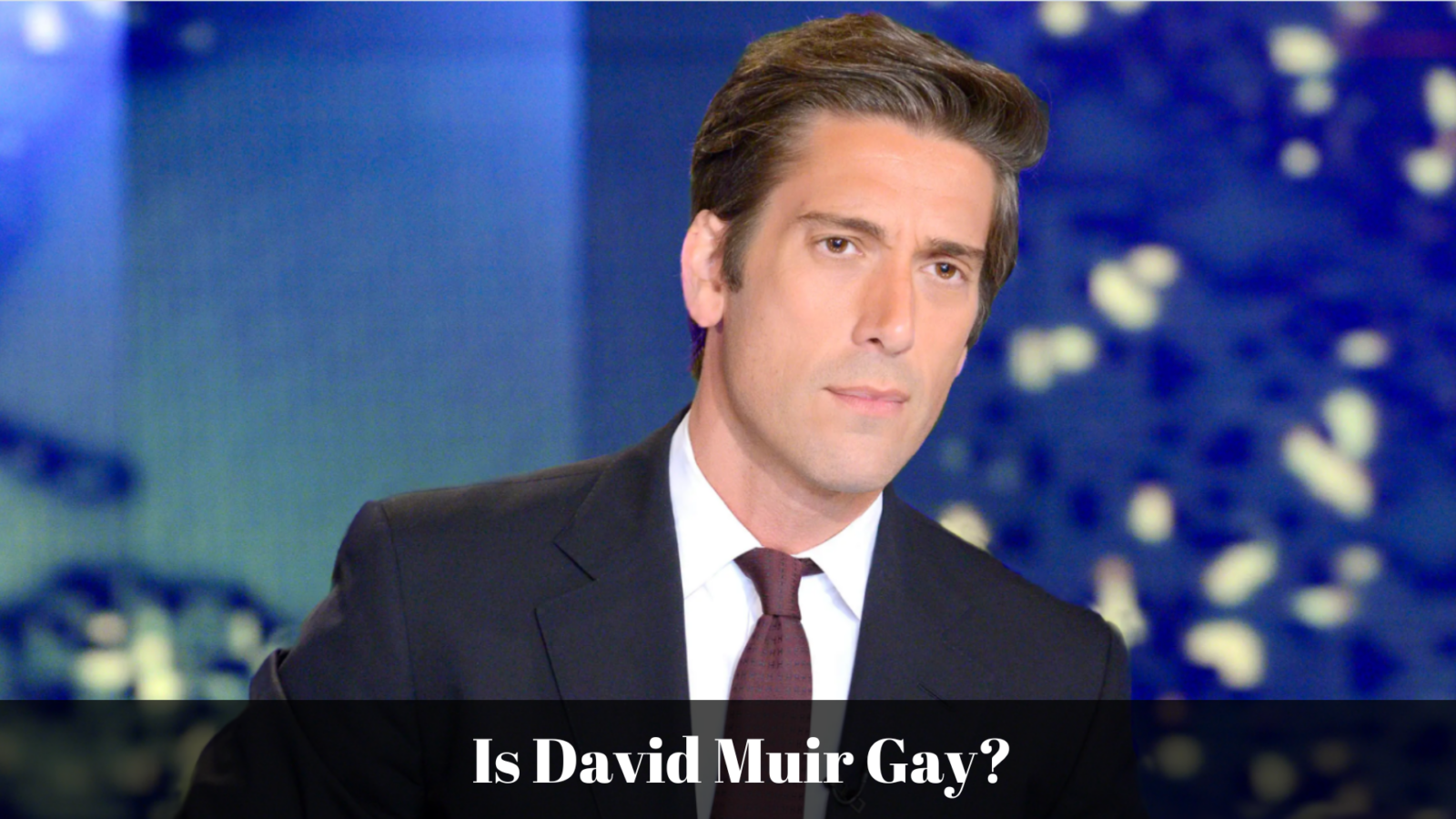 is david muir gay